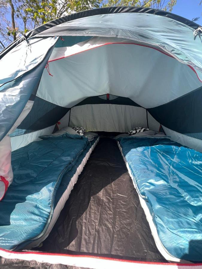 אמסטרדם The Esn Kingsday Campsite מראה חיצוני תמונה