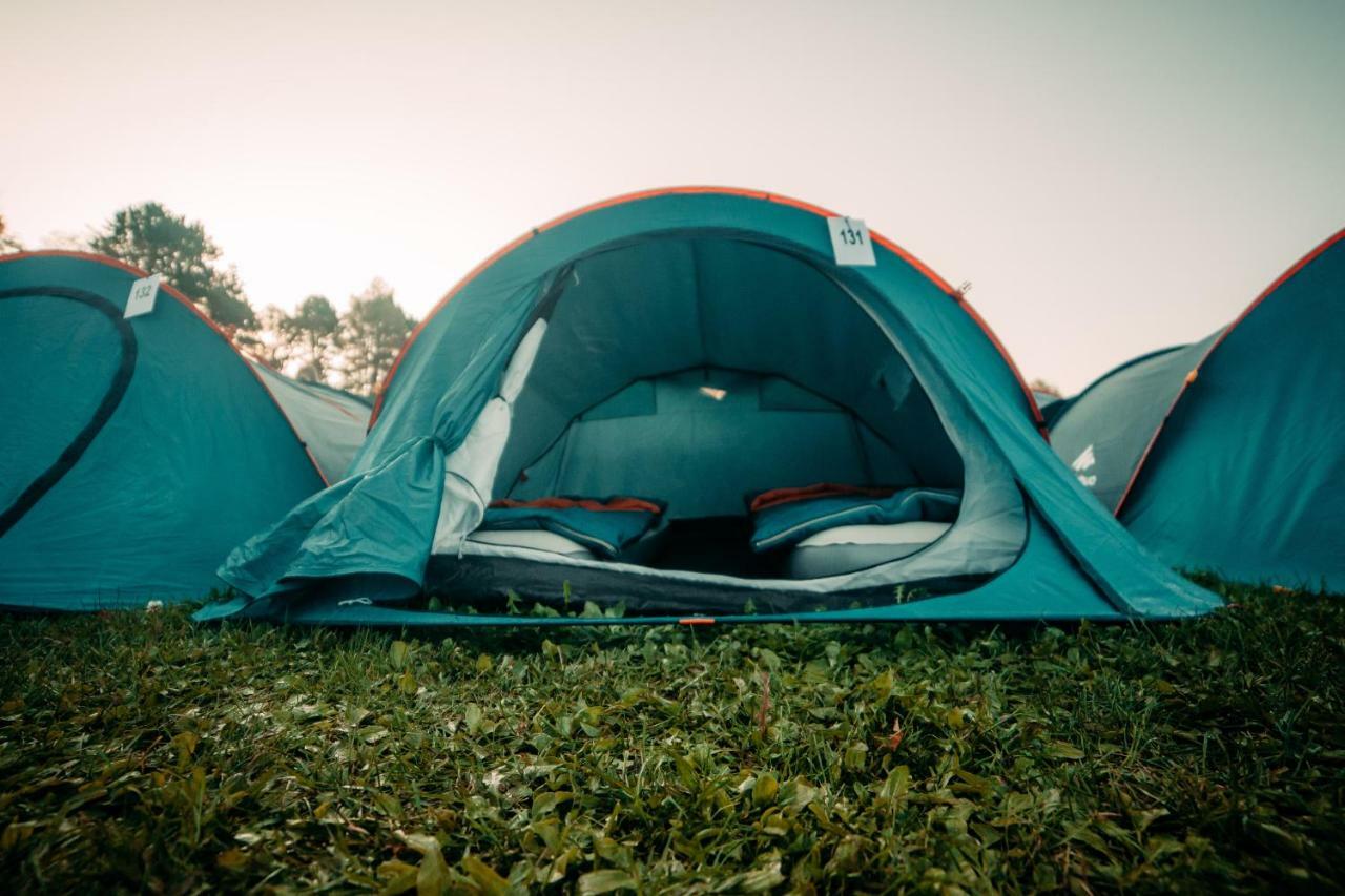 אמסטרדם The Esn Kingsday Campsite מראה חיצוני תמונה