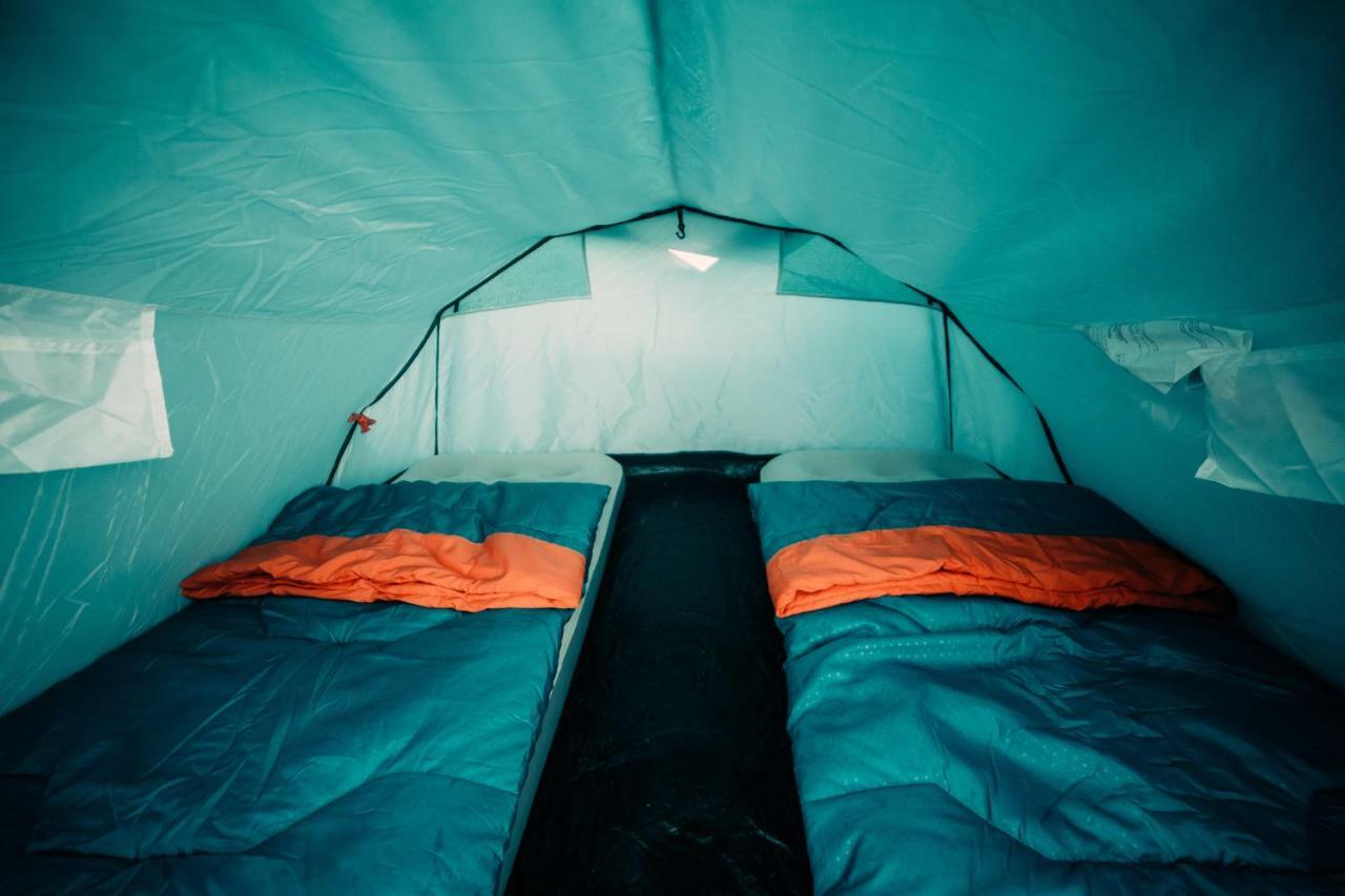 אמסטרדם The Esn Kingsday Campsite מראה חיצוני תמונה